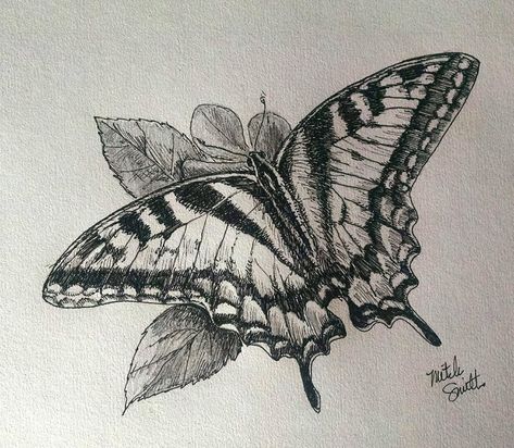 Tiger Swallowtail Tattoo, Animal Biro Drawing, Tiger Swallowtail Butterfly Drawing, Biro Butterflies, Butterfly Ink Drawing, Tiger Swallowtail Butterfly Tattoo, Butterfly Pen Drawing, Swallowtail Tattoo, Biro Drawing