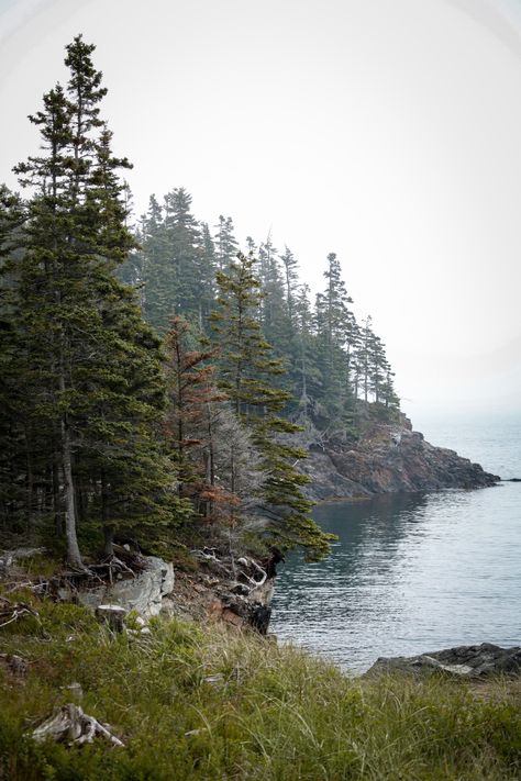 Canadian Islands, Campobello Island, New Brunswick Canada Photography, New Brunswick Aesthetic, East Coast Canada, New Brunswick Canada, Northern Island, Canada Photography, Atlantic Canada