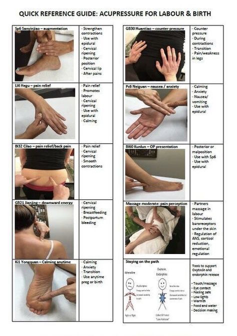 Labor Pressure Points, Doula Care, Healthy Birth, Doula Training, Doula Business, Nursing School Essential, Point Acupuncture, Baby Delivery, Planning Pregnancy