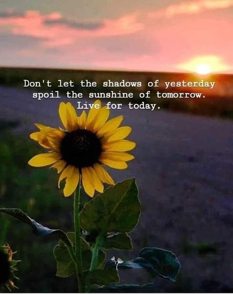 Sunrise Quotes, Create Your Own Sunshine, Sunflower Quotes, Sunset Quotes Instagram, Think Positive, Sunset Quotes, Flower Quotes, Snap Quotes, Healing Jewelry