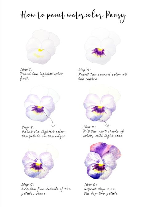 Easy steps to painting realistic watercolor pansies Pansy Flower Watercolor, Pansy Painting Acrylic Easy, Watercolor Pansy Tutorial, Pansy Watercolor Paintings, Watercolor Pansies Tutorial, Drawing Pansies, Pansies Watercolor, Pansies Painting, Pansy Painting