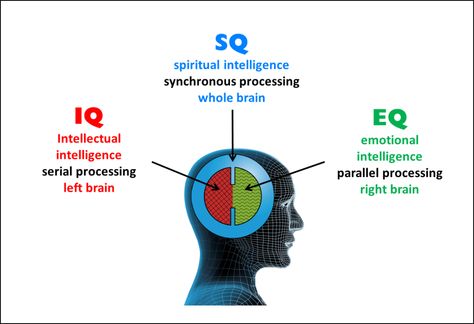 Spirituality for Atheists Focus Hacks, Spiritual Intelligence, Seat Of The Soul, Hospital Management System, Left Brain Right Brain, Artificial General Intelligence, Scientific Revolution, Multiple Intelligences, Philosophy Of Science