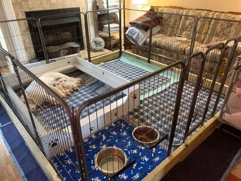 Whelping Box/Area Set up Whelping Box Ideas Puppies, How To Build A Whelping Box For Dogs, Whelping Set Up, Dog Whelping Room, Puppy Litter Set Up Ideas, Cat Whelping Box Ideas, Pregnant Dog Set Up, Dog Kennel Set Up, Puppy Pin Ideas