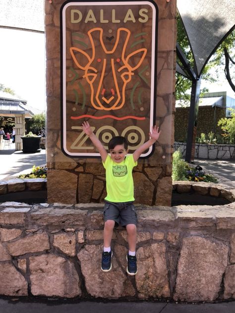 Here are 10 tips for a fun visit to the Dallas Zoo this spring. #dallaszoo #dfw #thingstodo #dallasmoms #dallasfamilies Zoo Tickets, Penguin Day, Dallas Zoo, Visit Dallas, Galapagos Tortoise, Great Mom, Migratory Birds, Photography Day, World Environment Day