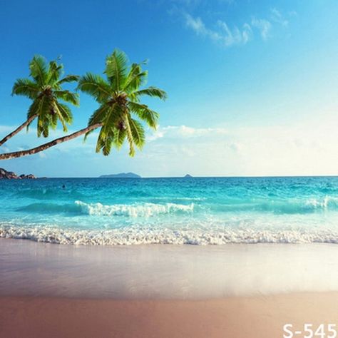 Sea Side, The Ocean, Palm Trees, The Beach, Trees, Water, Blue