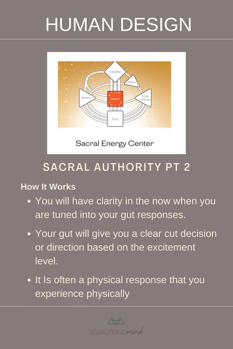 Sacral Authority, Manifesting Generator, What Is Human, Listen To Your Gut, Human Design System, Discovery Call, Holistic Living, Zoom Call, Authentic Living