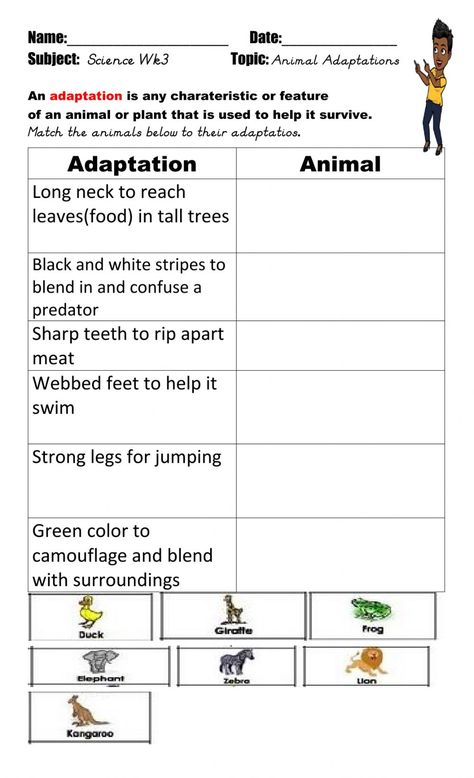 Animals Adaptations Activities, Animal Adaptations Activities 2nd Grade, Adaptation In Animals Worksheet, Animal Adaptations Worksheet, Adaptation In Animals, Animal Adaptations Activities, Adaptations Science, Adaptations Activities, Esl Grammar