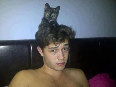 francisco lachowski with his cat (aw) Chico Lachowski Wallpaper, Chico Lachowski, Rodrigo Santoro, Райан Гослинг, Francisco Lachowski, Hot Actors, Pretty Men, A Cat, Celebrity Crush