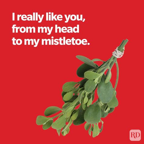 50 Christmas Pickup Lines That Will Land You a Kiss Under the Mistletoe Christmas Pickup Lines, Christmas Pick Up Lines, Short Jokes For Kids, Blog Writing Ideas, Space Puns, Kiss Under The Mistletoe, Christmas Gift Themes, Funny Christmas Jokes, Cheesy Lines