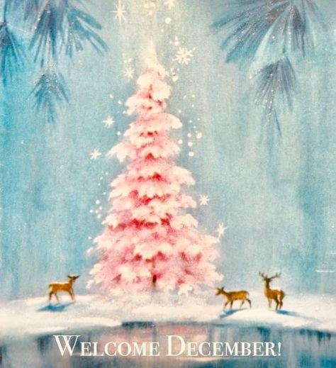 Vintage Pink Christmas, A Pink Christmas, Shabby Christmas, Pink Xmas, Pink Tree, Vintage Christmas Images, Pink Trees, Pink Christmas Tree, Old Fashioned Christmas