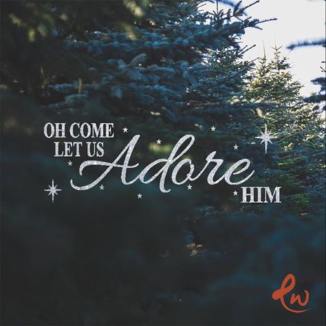 Adore Him. . . . #Tulsa #BrokenArrow #Bixby #Jenks #Owasso #Glenpool #Mounds #SouthTulsa #Oklahoma #TulsaOK #Bible #votd #VerseOfTheDay #Prayer #BibleStudy #JesusChrist #Christian #Tulsa_Oklahoma  #EastwoodTulsa #Christmas Come Let Us Adore Him, Christmas Graphics, Christmas Nativity, Baptist Church, Verse Of The Day, Free Christmas, Christmas Wallpaper, Good People, Oklahoma