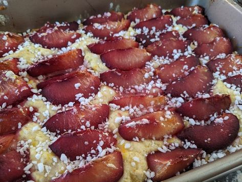 German Plum Sheet Cake Recipe for Everyday- Easy and Delicious German Plum Cake, Prune Cake, Crockpot Apple Crisp, Sheet Cake Recipe, Peach Muffins, Streusel Cake, Square Recipes, Fun Baking, Sheet Cake Recipes