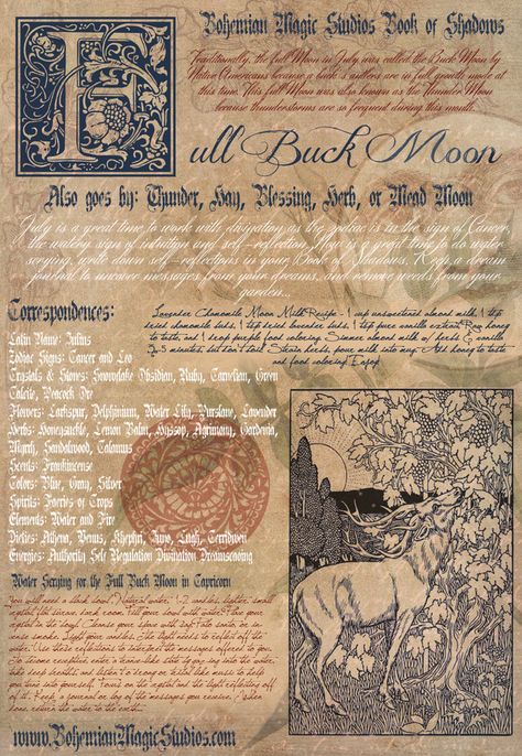 Full Buck Moon Book of Shadows PRINTABLE February Magick, Moon Book Of Shadows, Full Buck Moon, Moon Capricorn, Witchcraft Quotes, Buck Moon, Witch Grimoire, Divination Witch, Mother Moon