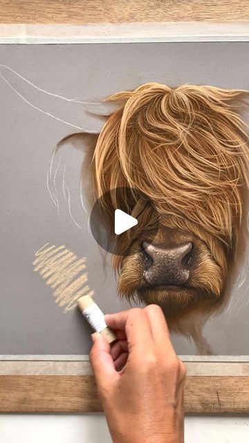 Emily-Mei Cross on Instagram: "Have you ever seen a cuter animal?! This full length tutorial of a Scottish Highland cow is available to learn from 12pm GMT today on my Patreon channel. Link in bio.
.
.
#highlandcow #highland #highlandcows #highlandcowsofinstagram #highlandcowlove #scotland #scotlandanimals #patreon #pastelartist #highlandcowart" Painting Of Highland Cow, Longhorn Cow Drawing, Highland Cow Template, How To Paint A Highland Cow, How To Draw A Highland Cow, Highland Cow Background, Highland Cow Drawing, Emily Mei, Cow Drawing Easy