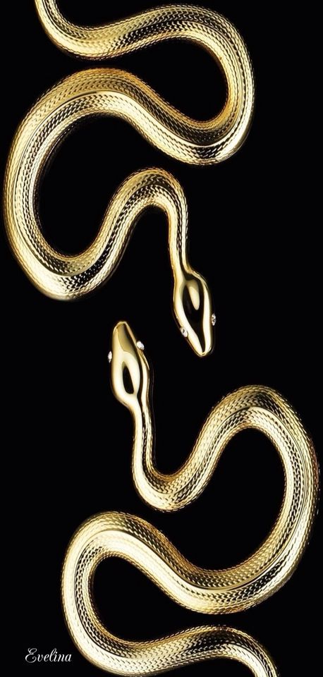 "Would you please just listen to me?" Gold Snake Aesthetic, Snake Aesthetic, Gold And Black Wallpaper, Black And Gold Aesthetic, Golden Snake, Snake Wallpaper, Snake Art, Gold Aesthetic, Gold Wallpaper