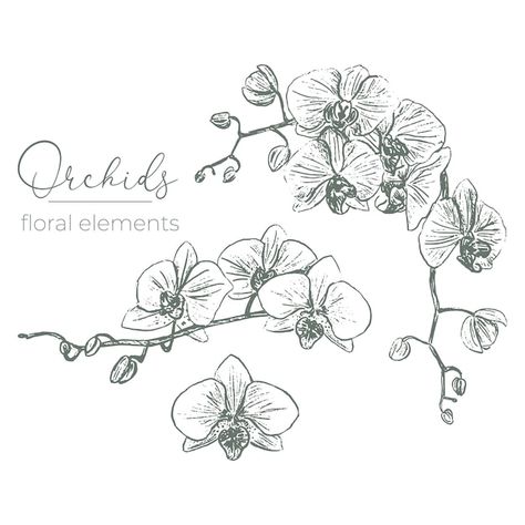 Set of various hand drawn sketch style o... | Premium Vector #Freepik #vector #flower #oriental #floral #flora Orchid Sketch, Orchid Invitation, Orchid Drawing, Bell Logo, Birthday Card Drawing, Sketch Style, Orchid Flowers, Card Drawing, Design Posters