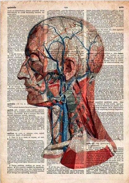 Medicine Posters Aesthetic, Vintage Medical Art, Old Medicine, Medical Artwork, Anatomical Heart Art, Head Anatomy, Medical Photography, Medical Posters, Medical Wallpaper