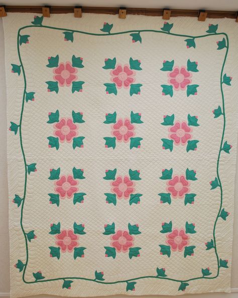 20-Ohio Rose Rose Quilt Pattern, 1930s Quilts, Historical Quilts, Rose Quilt, Memory Pillows, Picture Quilts, Pink Quilts, Rose Of Sharon, Traditional Quilts