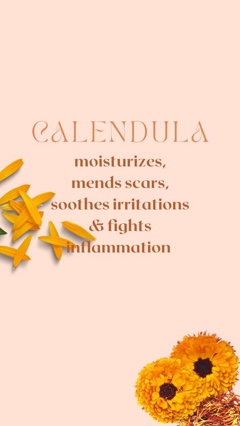 Benefits Of Calendula For Skin, Flower Skin, Calendula Benefits, Calendula Flower, Magic Herbs, Skin Tissue, Love Your Skin, Wound Healing, Homeopathy