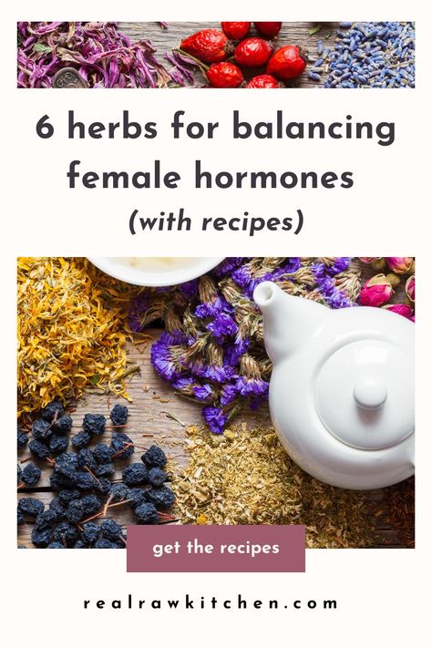 These herbs for balancing female hormones come with a whole bunch of other benefits. I like using rose, schisandra berry, black cohosh, nettle, peony, and vitex to regulate my hormones and soothe menstrual cramps. These herbs can also help with fertility! Here’s how to incorporate them into your monthly cycle with 6 delicious recipes. Black Cohosh Benefits, Hormone Balancing Tea, Herbs For Fertility, Benefits Of Berries, Doula Care, Monthly Cycle, Pregnancy Period, Healing Tea, How To Regulate Hormones