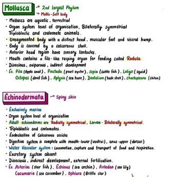 Animal Kingdom Notes, Allen Kota, Neet Notes, Organ System, Biology Notes, College Study, March 5, Animal Kingdom, Biology