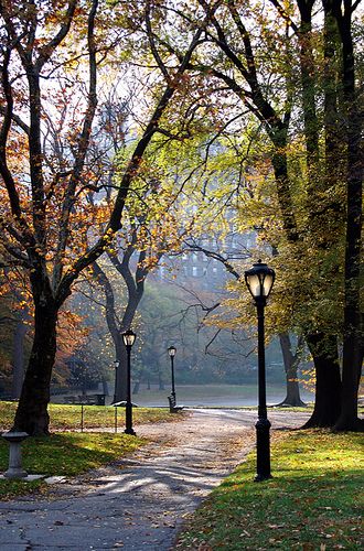 Central Park, New York by regnull City Park Aesthetic, Rat People, Park Reference, Park Pathway, Central Park Aesthetic, Drawing Backgrounds, Park Scene, City Parks, Nyc Fall