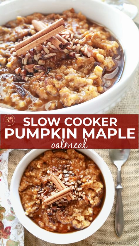 Slow Cooker Pumpkin Pie, Oatmeal Healthy, Pumpkin Pie Oatmeal, Menu Sarapan Sehat, Eating Bird Food, Slow Cooker Pumpkin, Healthy Slow Cooker, Bird Food, Vegan Recipe