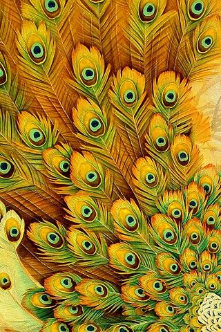 <3 Peacock Art, Peacock Feathers, Peacock Feather, Mellow Yellow, Pattern Iphone, Happy Colors, Cool Stuff, Shades Of Yellow, Iphone Background