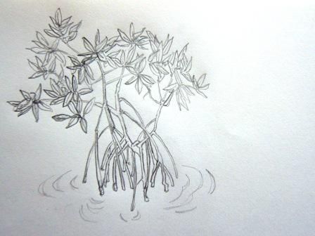 Mangrove Tattoo, Mangrove Tree Tattoo, Mangrove Drawing, Mangrove Drawing Art, Mangrove Art, Mangrove Forest Drawing, Fantasy Mangrove, Tree Spirit, Tree Tattoo