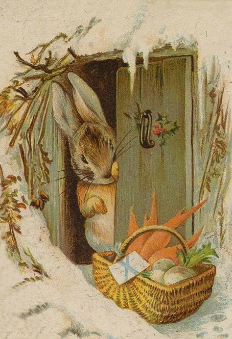 Beatrix Potter Peter Rabbit Illustration, Cottagecore Animals, Beatrix Potter Illustrations, Beatrice Potter, Peter Rabbit And Friends, 동화 삽화, Rabbit Illustration, Storybook Art, Rabbit Art