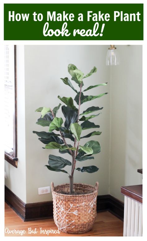 Fake Tree Bedroom, Dollar Tree Fake Plants Diy, Faux Tree Pot Filler, Diy Large Fake Plant, How To Make Fake Plants Look Real, Faux Fig Tree, Make Faux Plants Look Real, Make Fake Plants Look Real, Fake Fiddle Leaf Fig Tree Decor