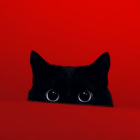 نباتات منزلية, 강아지 그림, Red Wall, Red Aesthetic, Black Cats, Art Journals, Crazy Cat Lady, Cat Gif, Red Background