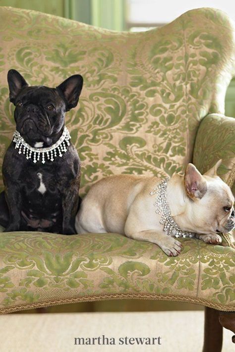 For the most pampered pup, these sparkling necklaces are simple to make with grosgrain ribbon and dangling rhinestone trim for glam dog photoshoots or family portraits. #marthastewart #pets #diypets #petbeds #petfurniture #diyprojects Dog Jewelry For Dogs, Diy Dog Collar Tutorial, Dog Necklace Collar Diy, Diy Dog Jewelry, Diy Dog Necklace, Jewelry For Dogs, Dog Necklace Collar, Handmade Dog Accessories, Crown Diy