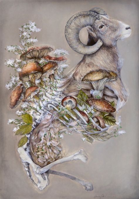 Kellan Jett, Artist Anatomy, Nunzio Paci, Yoga Animals, Decay Art, Botany Art, Animal Painter, Growth And Decay, Art Alevel