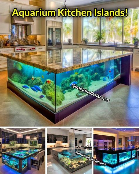 Daily Pictures. Part 2 (71 pics) Terrarium Furniture, Aquarium Kitchen, Random Cool Stuff, Unique Fish Tanks, Aquarium Coffee Table, Eclectic Decorating, Future Decor, Nice Houses, Fish Gallery