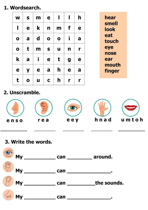 Five senses interactive activity for 1-2. You can do the exercises online or download the worksheet as pdf. 5 Senses Worksheet, Five Senses Worksheet, 5 Senses Activities, Human Body Worksheets, My Five Senses, Worksheets For Class 1, Teach English To Kids, Senses Activities, French Teaching Resources