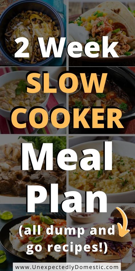 Slow Cooker Dump Meals, Dump And Go Recipes, Super Easy Slow Cooker Recipes, Slow Cooker Dump, Crockpot Dump Recipes, Beef Crockpot, Slow Cooker Meal, Easy Crockpot Dinners, Easy Dinner Recipes Crockpot