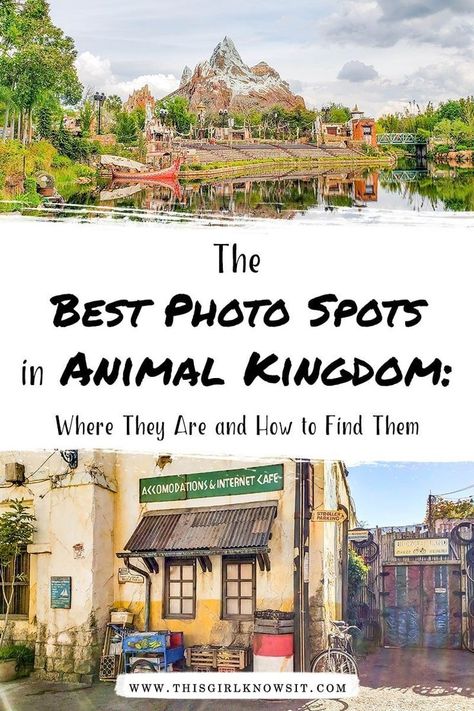 Animal Kingdom Picture Ideas, Disney Animal Kingdom, Disney Photo Ideas, Disney World Vacation Planning, Animal Kingdom Lodge, Disney Trip Planning, Instagram Guide, Disney Vacation Planning, Disney Nerd