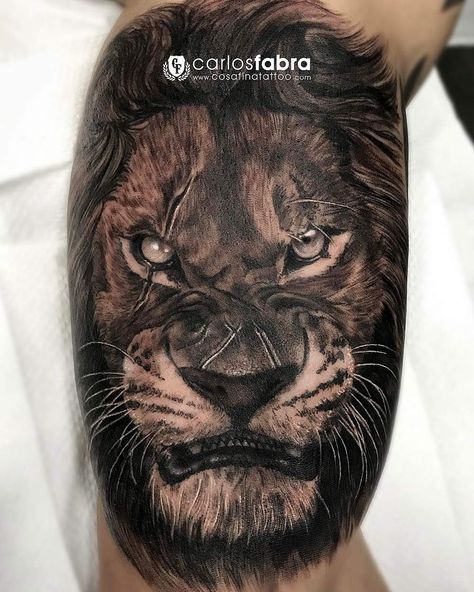 Scarred Lion Lion With Scar Tattoo, Lion With Scar On Eye Tattoo, Lion Scar Tattoo, Wounded Lion Tattoo, Scarred Lion Tattoo, Aggressive Lion Tattoo, Ojo Tattoo, Lion Arm Tattoo, Lion Sleeve