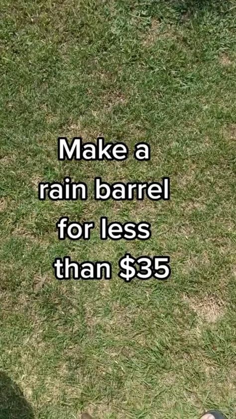 Make A Rain Barrel, Collect Rain Water, Vegetable Garden Diy, Water Collection, Rain Barrel, Rain Water Collection, Backyard Diy Projects, Home Vegetable Garden, Garden Yard Ideas