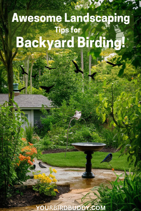 Transform your yard into a bird paradise with our 7 key steps to Birdscaping Garden, enticing feathered friends to flourish in your space. Bird Yard Ideas, Bird Sanctuary Ideas Backyards, Backyard Birds Sanctuary, Garden Wildlife, Bird Paradise, Play Area Backyard, Ideas Backyard, Landscaping Tips, Dream Backyard