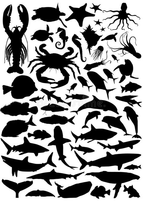 Foot Illustration, Scuba Vbs, Fish Silhouette, Animal Stencil, 5th Grade Art, Silhouette Template, Fish Vector, Animal Tracks, Vector Silhouette