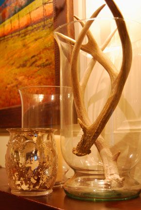 cute idea for a hunters wife like myself... better than a big dead deer head on your wall :) Antler Ideas, Deer Antler Decor, Antler Crafts, Deer Horns, Antler Art, Hunting Decor, Deer Decor, Glass Vases, Deer Antlers