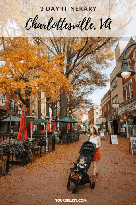 Charlottesville Virginia Fall, Charolettesville Virginia, Charlotsville Virginia, Charlottesville Bachelorette Weekend, Things To Do In Charlottesville Va, Charlottesville Virginia Things To Do, Virginia Travel Places To Visit, Visit Virginia, Travel Virginia