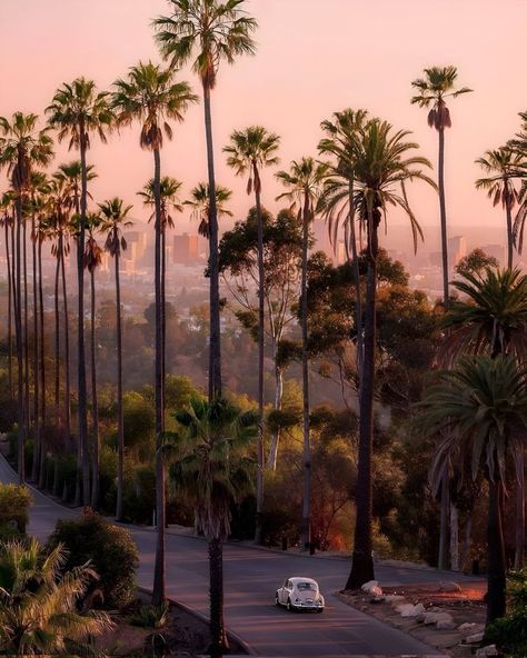 Los Angeles Aesthetic, All Inclusive Trips, Los Angeles Travel, Los Angeles City, First Day Of Summer, City Of Angels, California Love, Los Angeles Area, California Dreamin'