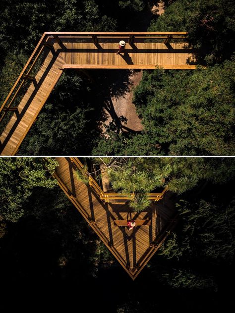 A treetop canopy walk weaves it way through the trees for amazing views. Canopy Walkway, Wood Walkway, Sky Walk, Tree Tunnel, Canopy Architecture, Bamboo Architecture, Forest Canopy, Wooden Bridge, Tree Canopy