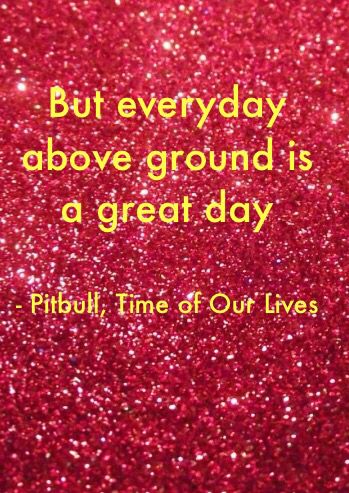 Pitbull Quote from Time of Our Lives Pitbull Singer, Senior Year Quotes, Pitbull Quotes, Yearbook Quotes, Time Of Our Lives, Letter Boards, Music For The Soul, Year Quotes, Senior Year