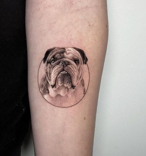 Minimalist Bulldog Tattoo, Small Bulldog Tattoo, Old English Bulldog Tattoo, Bulldog Memorial Tattoo, British Bulldog Tattoo, Tattoo With Frame, American Bulldog Tattoo, Bulldog Tattoo Ideas, Milo Tattoo