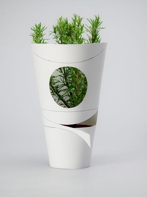 Packaging Design/Herb Pots on Student Show Plant Packaging, Packing Box Design, Vegetable Bouquet, Craft Instructions For Kids, Organic Packaging, Chinese Art Painting, Branding Design Packaging, Herb Pots, Box Packaging Design