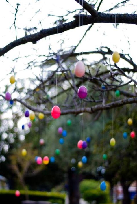 Easter Egg Tree, Egg Tree, Deer Resistant Plants, Plastic Eggs, Easter Decorations, Easter Spring, Easter Egg, Trees To Plant, Easter Eggs